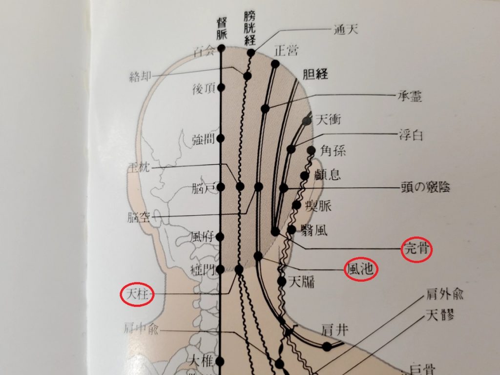 頭痛に効くツボ、天柱・風池・完骨