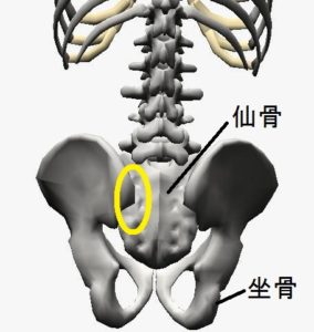 腰痛の原因（仙腸関節）